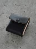 Aeta Coin Case