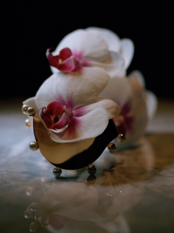 mame カーブブレス